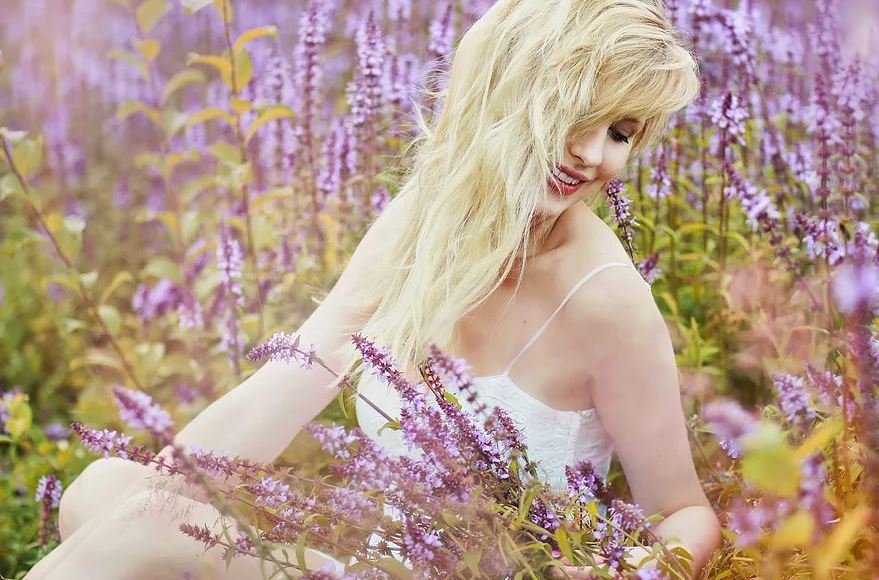 Violet Dream