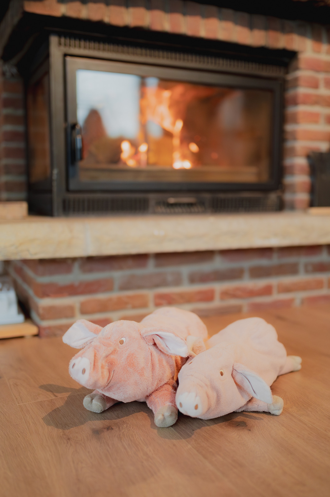 Newborn-Shooting / Home-Story
