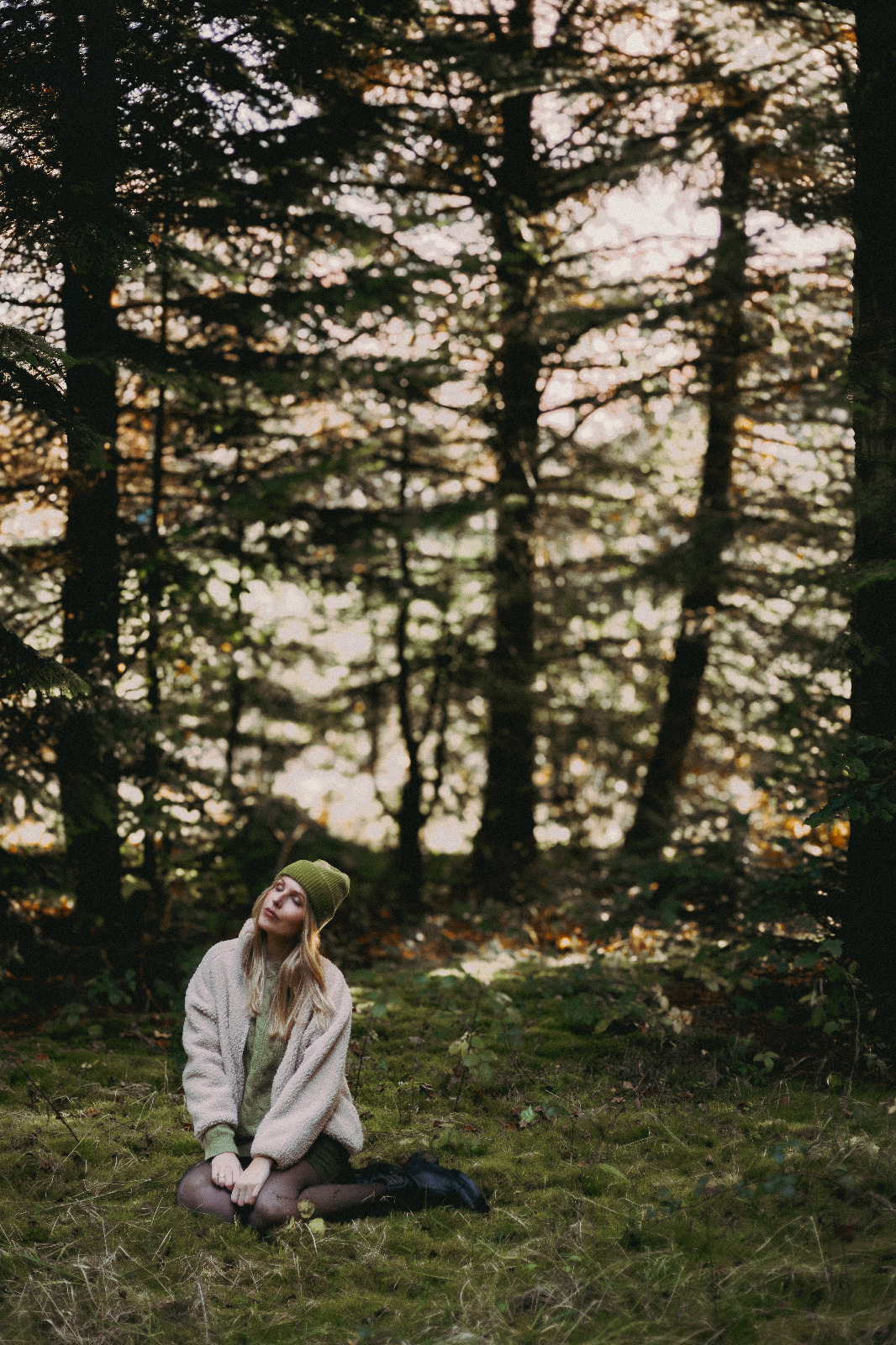Selbstportraits im Tannenwald